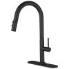 Single Handle Pull Down Sprayer Kitchen Faucet in Batte Black