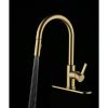 Single Handle Pull-Down Kitchen Faucet with Soap Dispenser, Brushed Brass