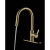 Single Handle Pull-Down Kitchen Faucet with Soap Dispenser, Brushed Brass