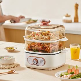 FYStainless Steel Electric Steamer (Color: White)