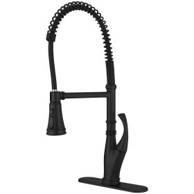 Single-Handle Pull-Down Sprayer 3 Spray High Arc Kitchen Faucet With Deck Plate in Matte Black (Color: Matte Black)