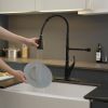 Single-Handle Pull-Down Sprayer 3 Spray High Arc Kitchen Faucet With Deck Plate in Matte Black