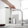 2 Sprayer Single Hole Single-Handle Pull Out Kitchen Faucet 360°Swivel Spout